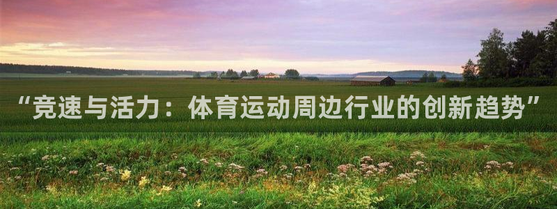 3377体育官网下载软件：“竞速与活力：体育运动周边