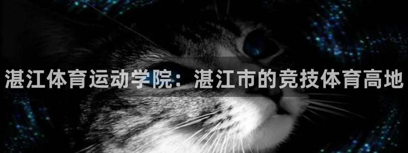 3377体育官网下载平台假的吗是真的吗：湛江体育运动