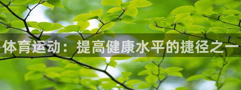 3377体育官方正版app官方：体育运动：提高健康水