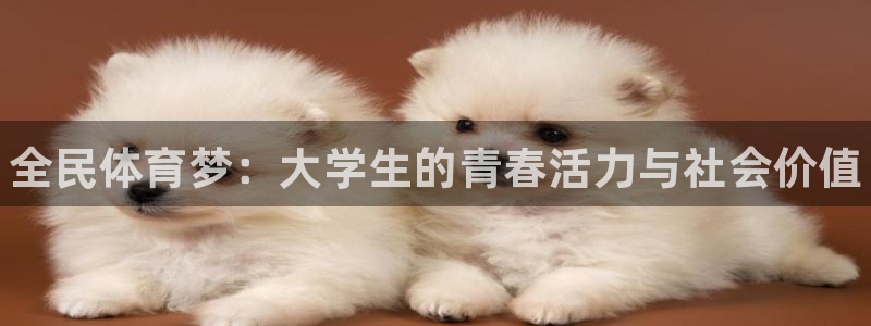 3377体育官方正版app集团简介：全民体育梦：大学