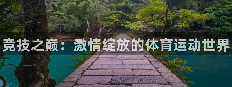 3377体育官网下载招商电话号码是多少：竞技之巅：激