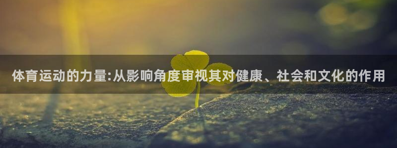 3377体育官方正版app神州：体育运动的力量:从影