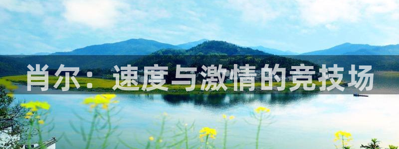 3377体育官方正版app娱乐：肖尔：速度与激情的竞