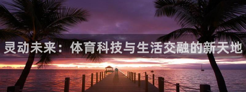 3377体育官网下载平台注册要钱吗安全吗：灵动未来：体育科技