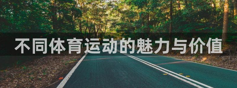 3377体育官网下载平台注册要钱吗：不同体育运动的魅