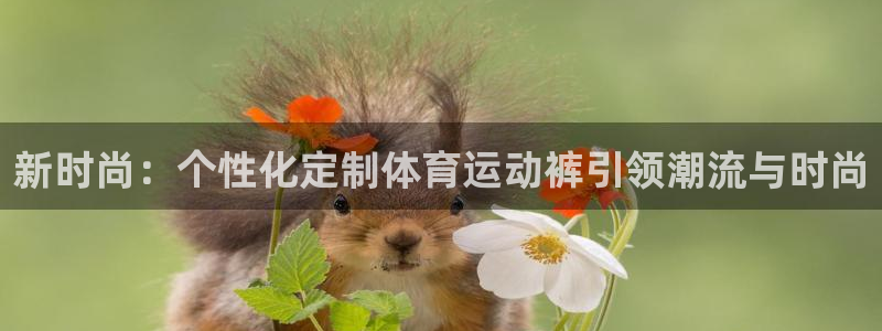3377体育官方正版app娱乐网站：新时尚：个性化定制体育运
