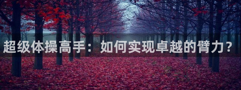 注册3377体育官方正版app：超级体操高手：如何实