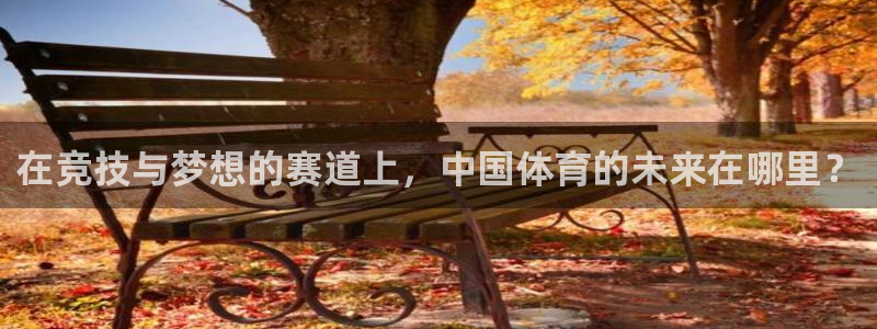 3377体育官方集团官网：在竞技与梦想的赛道上，中国