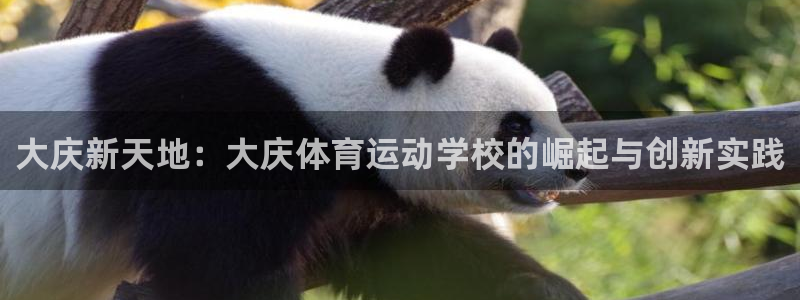 3377体育官方正版app集团官网首页网址：大庆新天地：大庆