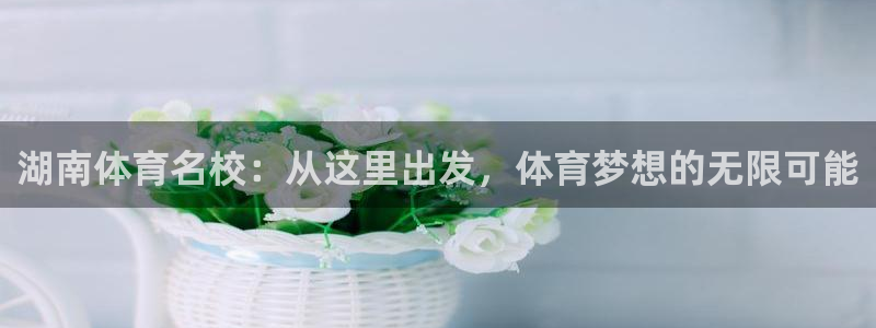3377体育官网下载