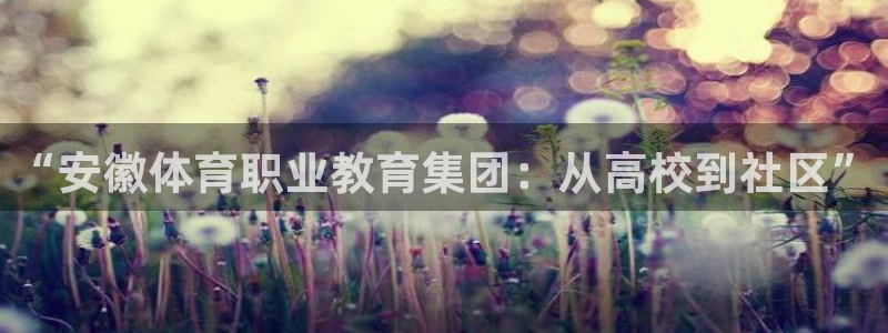 3377体育官方正版app娱乐40996：“安徽体育职业教育