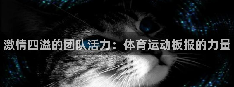 3377体育官方正版app集团官网首页网址：激情四溢的团队活