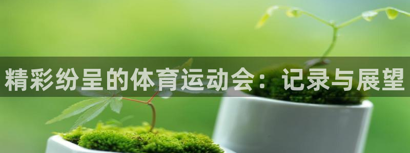 3377体育官方正版app集团E.ON：精彩纷呈的体