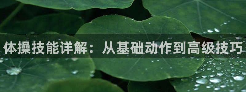3377体育官方正版app娱乐40996：体操技能详解：从基
