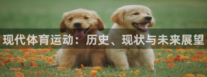 3377体育官方正版app开户：现代体育运动：历史、现状与未