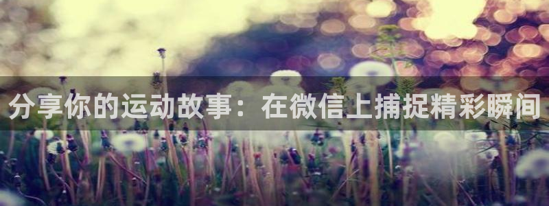 3377体育官方正版app集团简介：分享你的运动故事：在微信