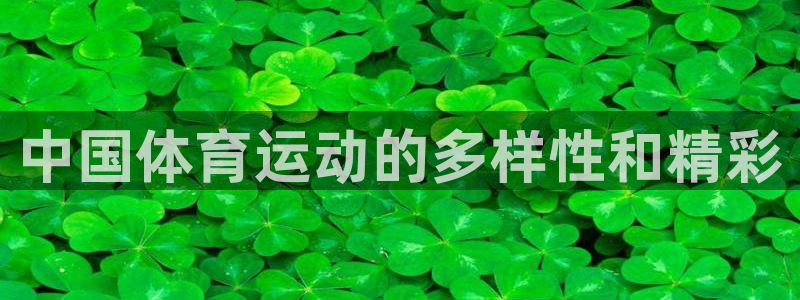 3377体育官网下载平台是正规平台吗：中国体育运动的多样性和