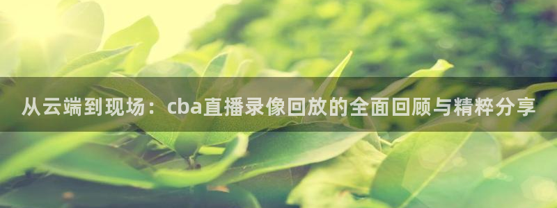 松鼠官方网站：从云端到现场：cba直播录像回放的全面回顾与精粹分享