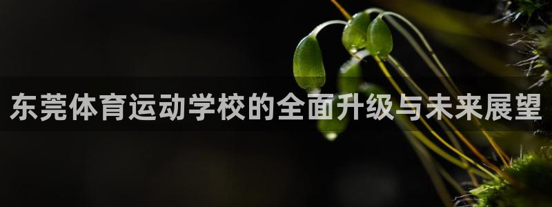 3377体育被国家取消了吗现在：东莞