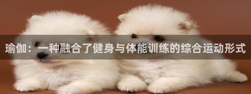 3377体育可信吗：瑜伽：一种融合了