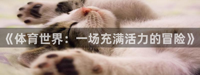  3377体育十大必吃榜：《体育世界：一场充满活力的冒险》