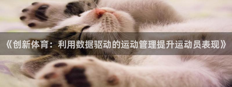 3377体育app官网下载最新版本2023年：《创新体育：利