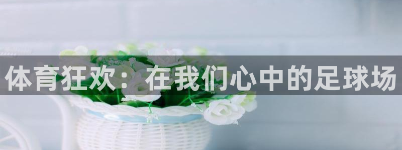  3377体育最厉害三个平台：体育狂欢：在我们心中的足球场