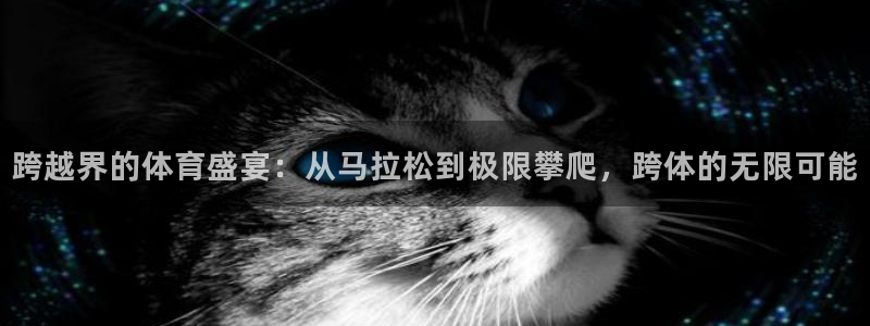 3377体育现在叫什么：跨越界的体育盛宴：从马拉松到极限攀爬