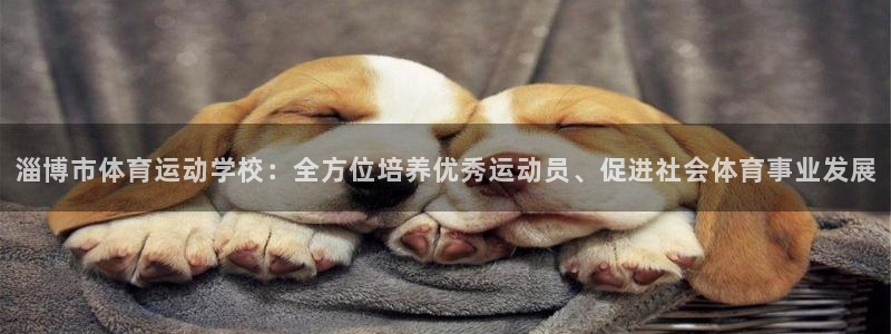 3377体育在哪个国家运营：淄博市体育运动学校：全方位培养优