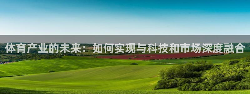 3377体育被国家取消了吗为什么：体育产业的未来：如何实现与