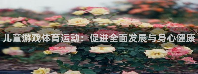 3377体育被国家取消了吗今天：儿童游戏体育运动：促进全面发