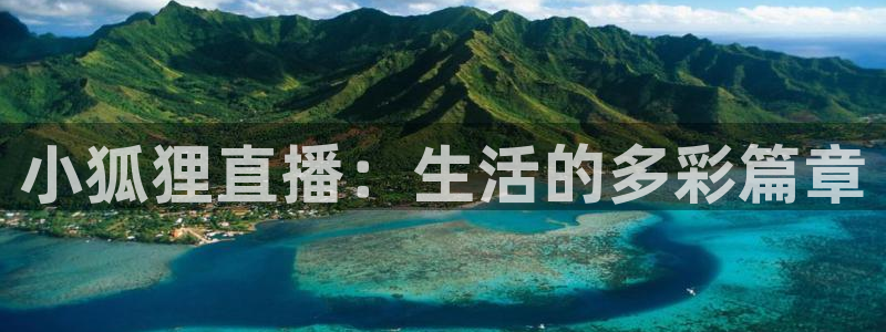 松鼠直播体育免费：小狐狸直播：生活的多彩篇章