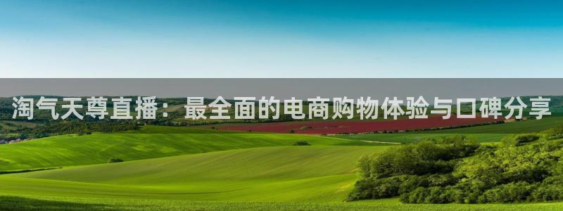 松鼠直播：淘气天尊直播：最全面的电商购物体验与口碑分享