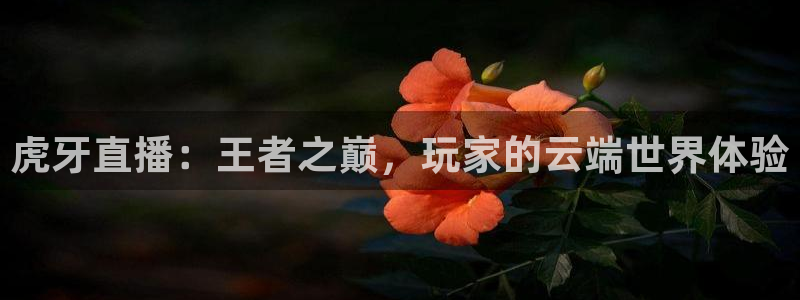 松鼠客户端：虎牙直播：王者之巅，玩家的云端世界体验