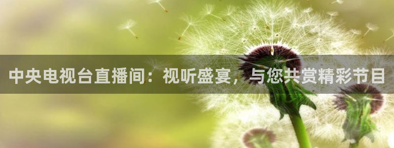 松鼠直播体育免费：中央电视台直播间：视听盛宴，与您共赏精彩节目