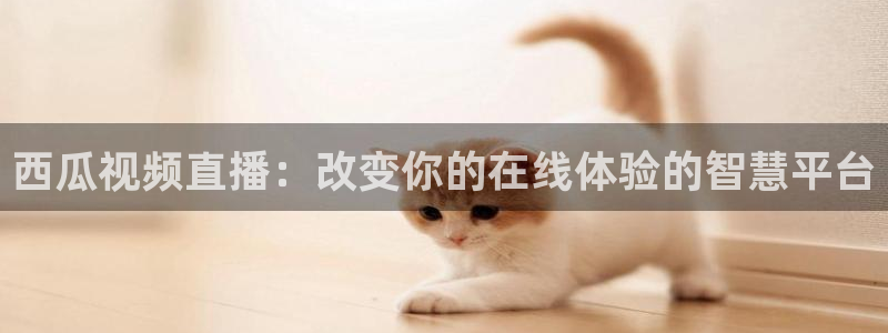 松鼠直播tv：西瓜视频直播：改变你的在线体验的智慧平台