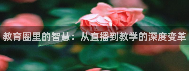 松鼠客户端：教育圈里的智慧：从直播到教学的深度变革