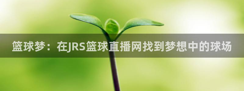 松鼠休闲游戏官网：篮球梦：在JRS篮球直播网找到梦想中的球场