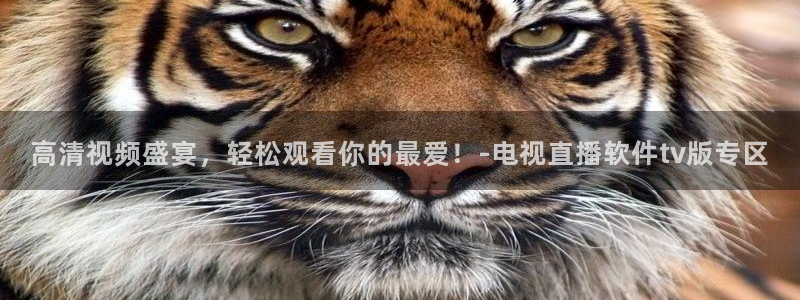 松鼠官方网站：高清视频盛宴，轻松观看你的最爱！-电视直播软件tv版专区