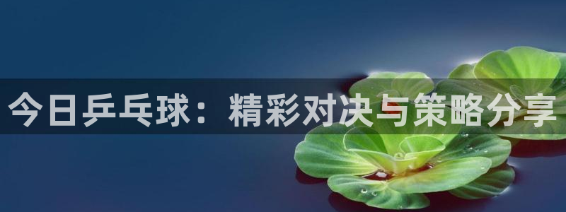 松鼠直播tv：今日乒乓球：精彩对决与策略分享