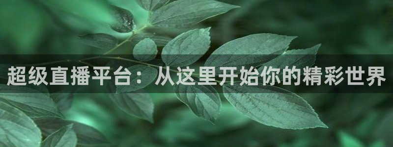 松鼠平台：超级直播平台：从这里开始你的精彩世界